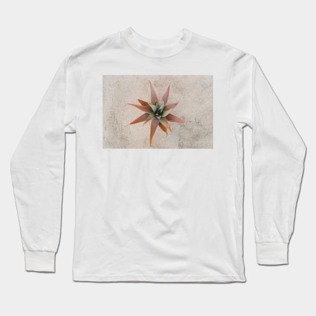 Mexico Succulent Long Sleeve T-Shirt by TaivalkonAriel